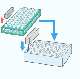 (臨床検査) 自動検体サンプリング　ELISA、RIA検査の検体前処理　HPLCの検体前処理