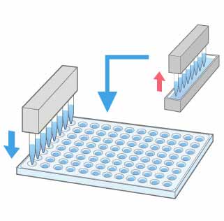 PCR用マスターミックスなどの試薬分注