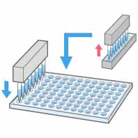 PCR用マスターミックスなどの試薬分注